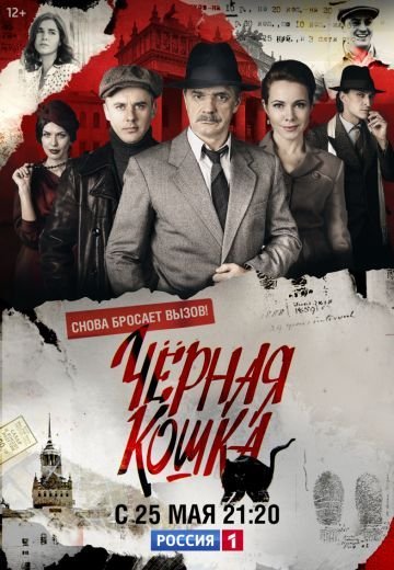 Черная кошка (2016)