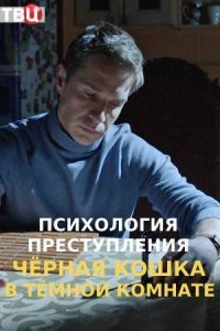 Психология преступления 3: Черная кошка в темной комнате (2021)