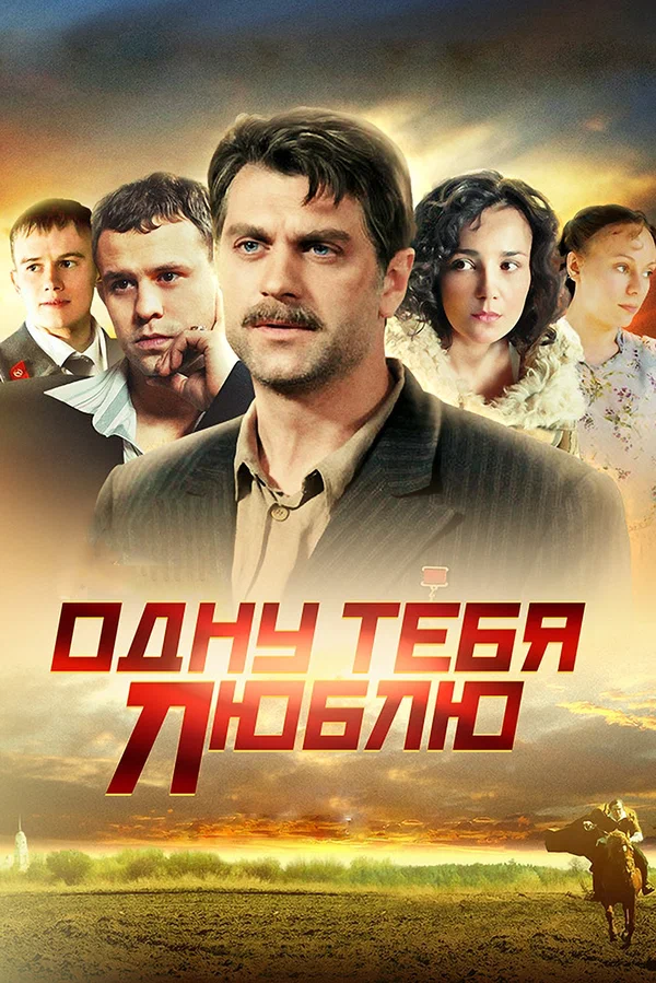 Одну тебя люблю (2009-2014)